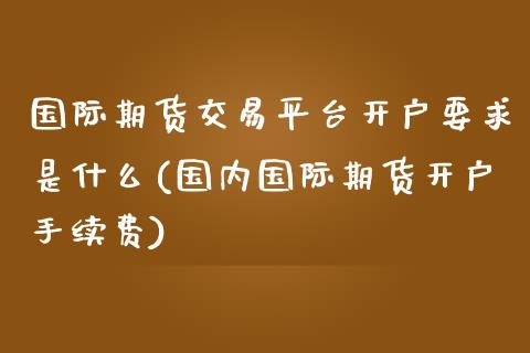 国际期货交易平台开户要求是什么(国内国际期货开户手续费)_https://www.dai-osaka.com_股票资讯_第1张