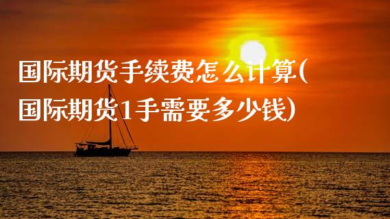 国际期货手续费怎么计算(国际期货1手需要多少钱)_https://www.dai-osaka.com_国内期货_第1张