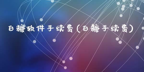 白糖软件手续费(白糖手续费)_https://www.dai-osaka.com_股指期货_第1张