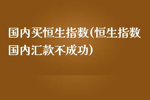 国内买恒生指数(恒生指数国内汇款不成功)_https://www.dai-osaka.com_股指期货_第1张