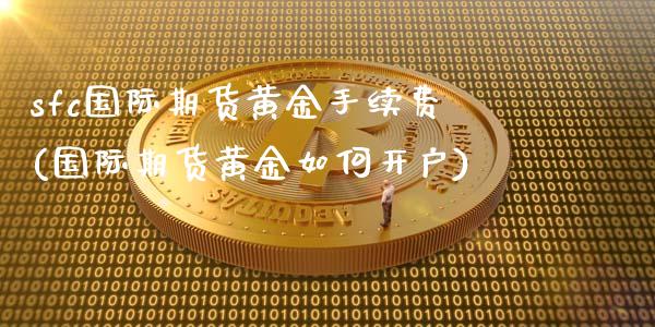 sfc国际期货黄金手续费(国际期货黄金如何开户)_https://www.dai-osaka.com_股票资讯_第1张