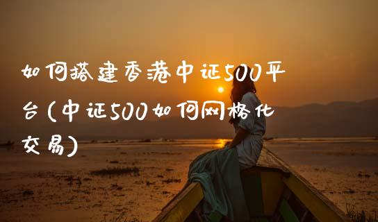 如何搭建香港中证500平台(中证500如何网格化交易)_https://www.dai-osaka.com_黄金期货_第1张