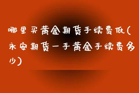 哪里买黄金期货手续费低(永安期货一手黄金手续费多少)_https://www.dai-osaka.com_股指期货_第1张