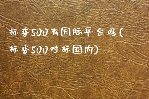 标普500有国际平台吗(标普500对标国内)_https://www.dai-osaka.com_股票资讯_第1张