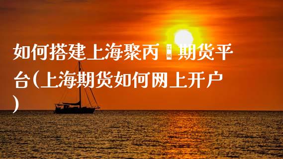 如何搭建上海聚丙烯期货平台(上海期货如何网上开户)_https://www.dai-osaka.com_黄金期货_第1张