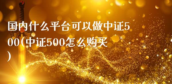 国内什么平台可以做中证500(中证500怎么购买)_https://www.dai-osaka.com_外汇资讯_第1张