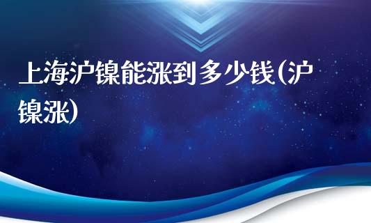 上海沪镍能涨到多少钱(沪镍涨)_https://www.dai-osaka.com_外盘期货_第1张