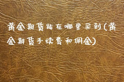 黄金期货能在哪里买到(黄金期货手续费和佣金)_https://www.dai-osaka.com_外盘期货_第1张