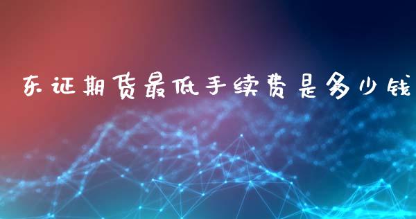 东证期货最低手续费是多少钱_https://www.dai-osaka.com_原油期货_第1张