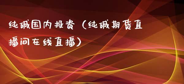 纯碱国内投资（纯碱期货直播间在线直播）_https://www.dai-osaka.com_股指期货_第1张