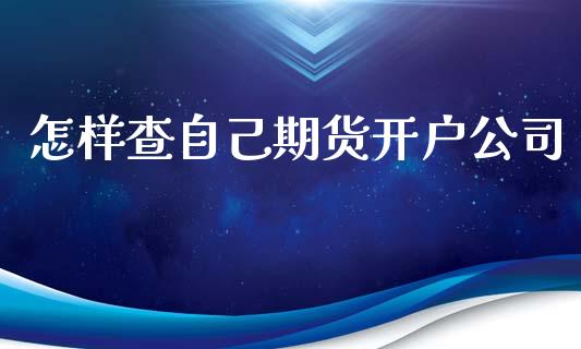 怎样查自己期货开户公司_https://www.dai-osaka.com_恒生指数_第1张