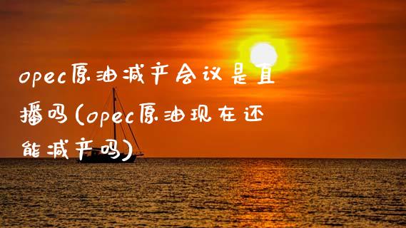 opec原油减产会议是直播吗(opec原油现在还能减产吗)_https://www.dai-osaka.com_国内期货_第1张