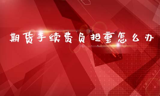 期货手续费负担重怎么办_https://www.dai-osaka.com_国内期货_第1张