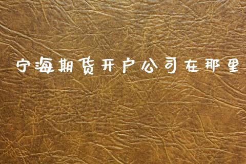 宁海期货开户公司在那里_https://www.dai-osaka.com_股指期货_第1张