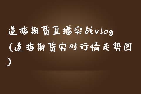 道指期货直播实战vlog(道指期货实时行情走势图)_https://www.dai-osaka.com_股指期货_第1张