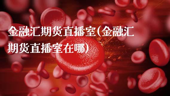 金融汇期货直播室(金融汇期货直播室在哪)_https://www.dai-osaka.com_股指期货_第1张